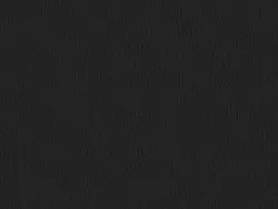 CSE4421 BLACK