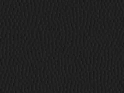 CSE4422 BLACK