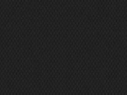 CSE4424 BLACK