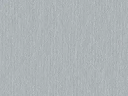 CSE4501 SILVER