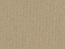 CSE4502 WHITE GOLD