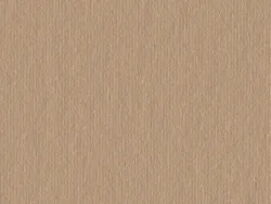 CSE4593 ROSE GOLD
