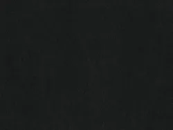 NAPR6977 NOIR