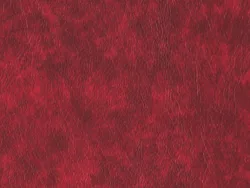 NOE12174 RED