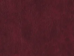 NOE12175 BURGUNDY