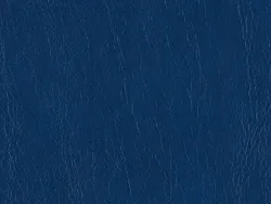 NOE12178 BLUE