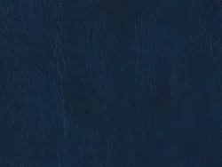 NOE12179 NAVY