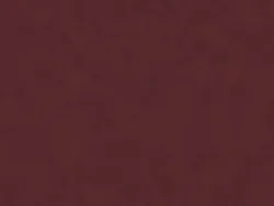 NON03573 BURGUNDY