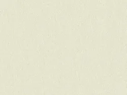RSU94524 ECRU