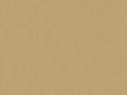 SHL3215 BRASS