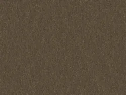 SHL3260 BRONZE