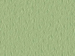 SXO5337 GREEN