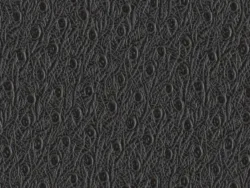 SXO5341 BLACK