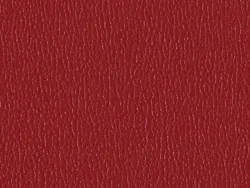 SXS5249 RED