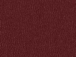 SXS5250 MAROON