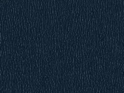 SXS5251 BLUE