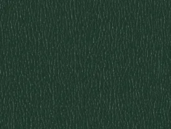 SXS5252 GREEN