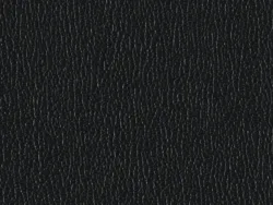 SXS5254 BLACK