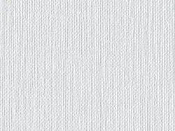 WBV500 WHITE