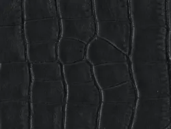 WCAI99 BLACK