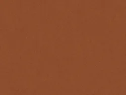 WOP55 TAN
