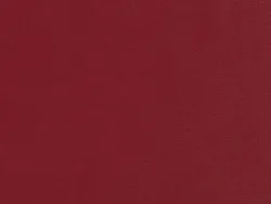 ECC15502 RED