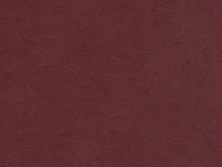 ECC15503 MAROON