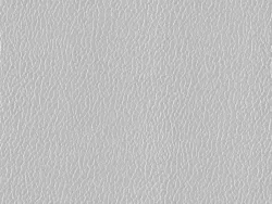EFL2301 BRIGHT SILVER