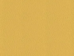 EFL2302 BRIGHT GOLD