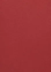 Color Plan Vermillion 5544-270
