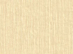 NAB2013 CREAM