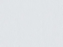QCR6019 NEIGE