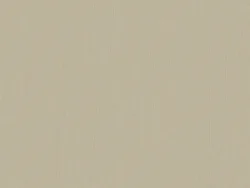 QSI6506 BEIGE