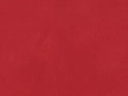 SR004 RUBIS