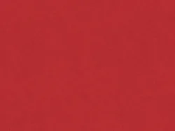 WBN530_EX RUBY