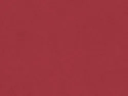 WBN532_EX RED