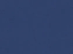WBN565_EX BLUEBERRY