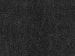 WCA11399 NOIR