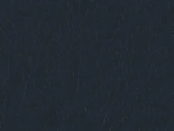 WCE23481 NAVY