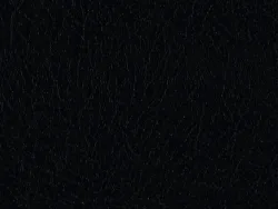 WCE23499 BLACK