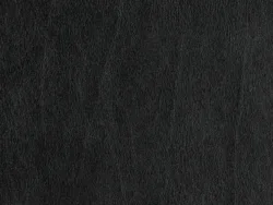 WHY35799 BLACK